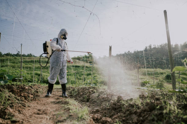Best Local Pest Control Services  in Gardner, MA