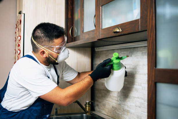 Best Pest Control Cost  in Gardner, MA