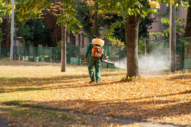 Best Pest Control Treatment  in Gardner, MA