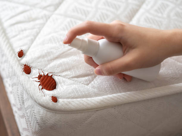 Trusted Gardner, MA Pest Control Experts