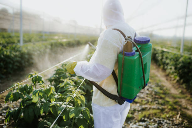 Pest Control Cost in Gardner, MA